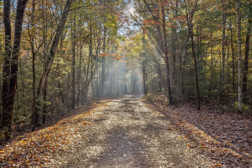 480 Holder Cemetery Road Tellico Plains TN 37385
