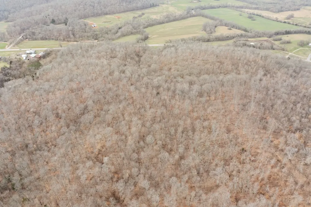 0 Highway 149 Erin TN 37061