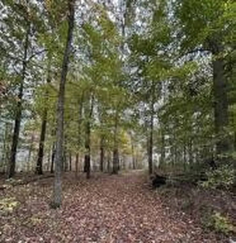 7810 N Lee Highway Cleveland TN 37312