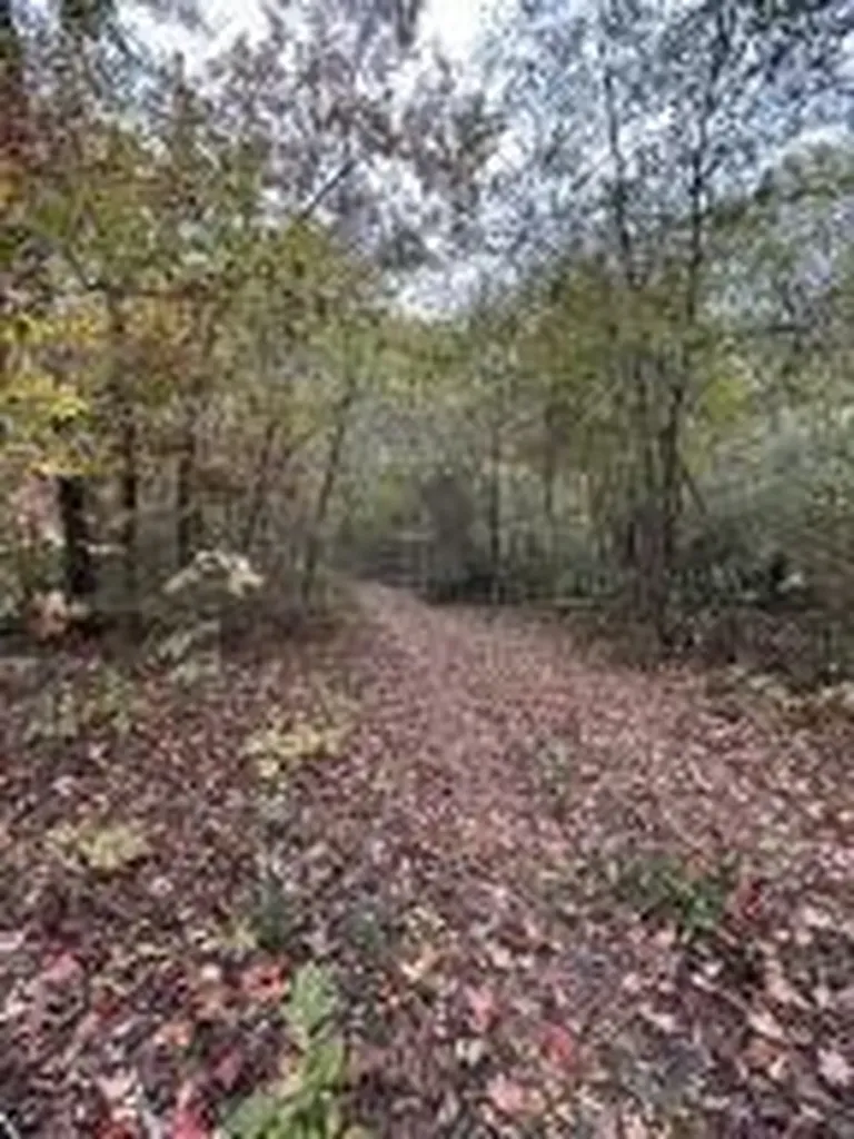 7810 N Lee Highway Cleveland TN 37312