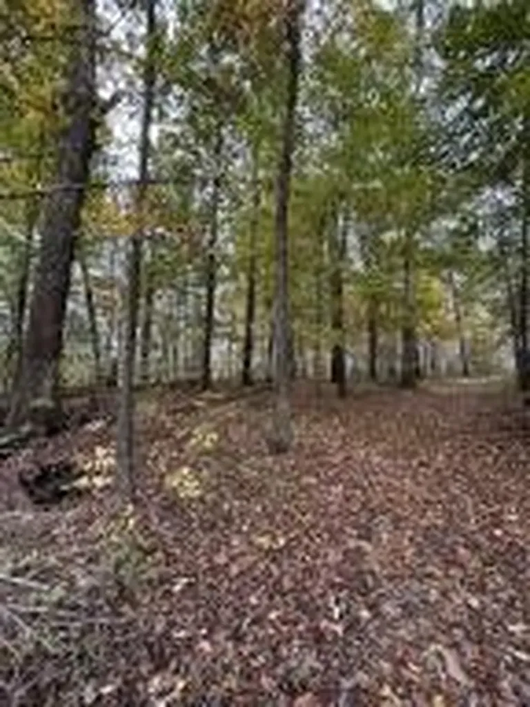 7810 N Lee Highway Cleveland TN 37312