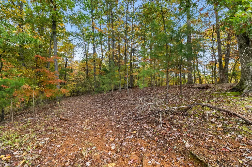 549 Old Bacon Road, NE Charleston TN 37310