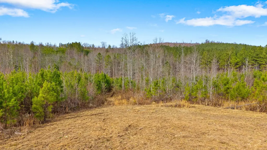 0 Redman Lane Decatur TN 37322