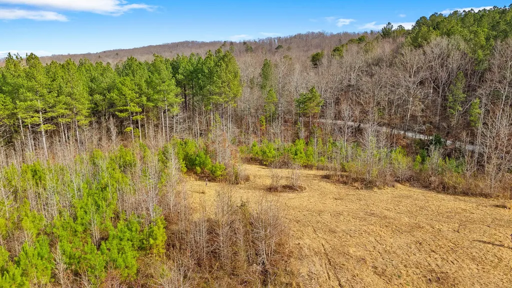 0 Redman Lane Decatur TN 37322