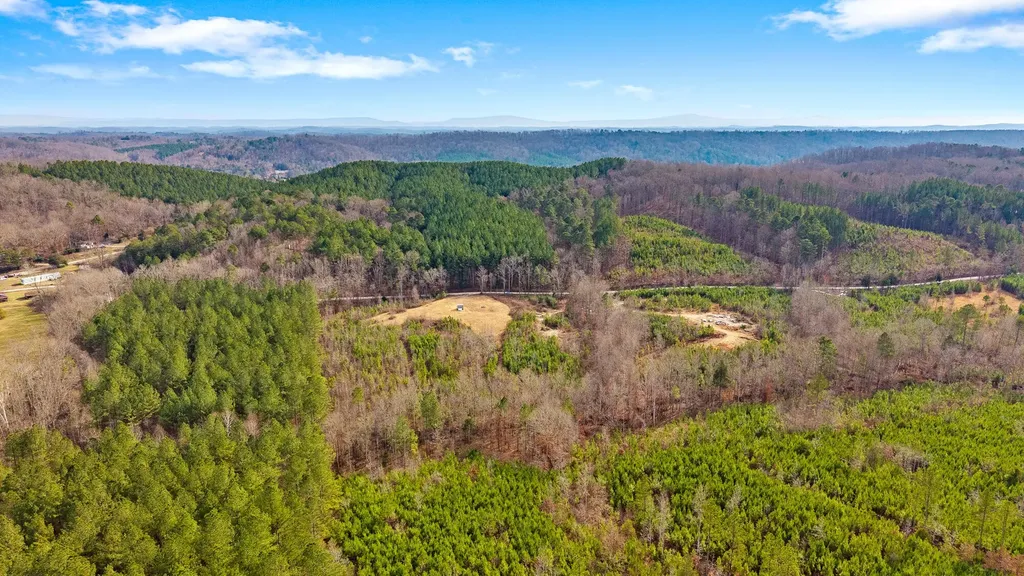 0 Redman Lane Decatur TN 37322