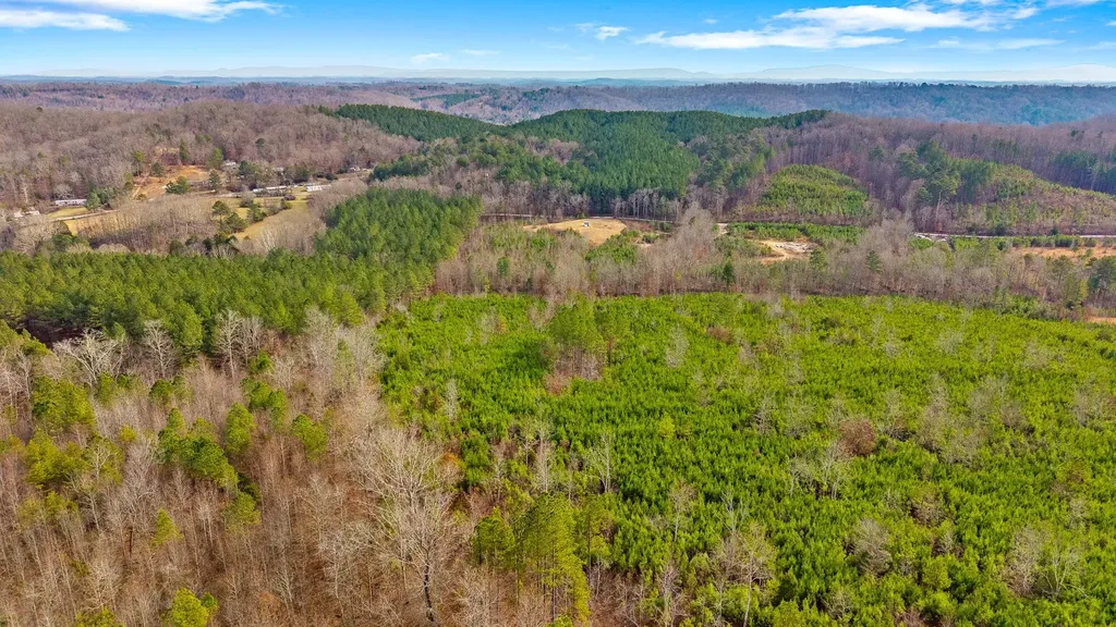 0 Redman Lane Decatur TN 37322