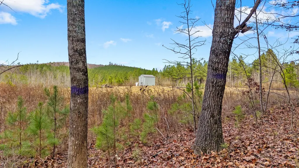 0 Redman Lane Decatur TN 37322