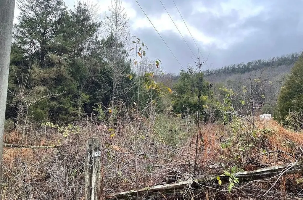 0 Reagan Valley Road Madisonville TN 37354