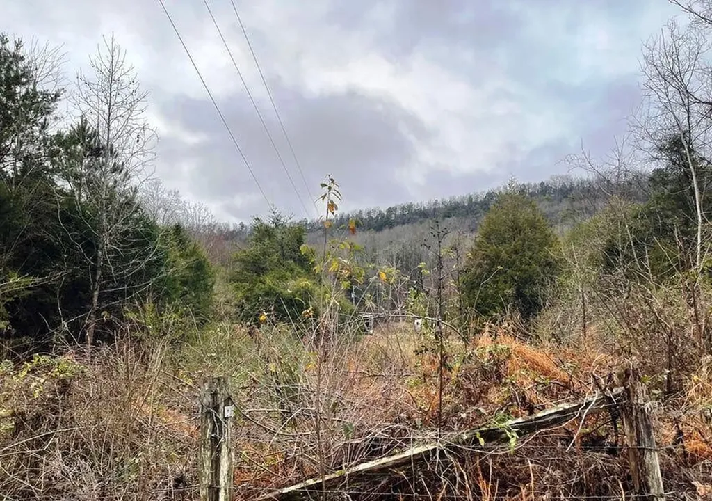 0 Reagan Valley Road Madisonville TN 37354