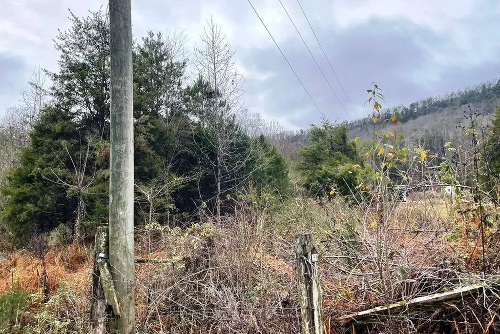 0 Reagan Valley Road Madisonville TN 37354