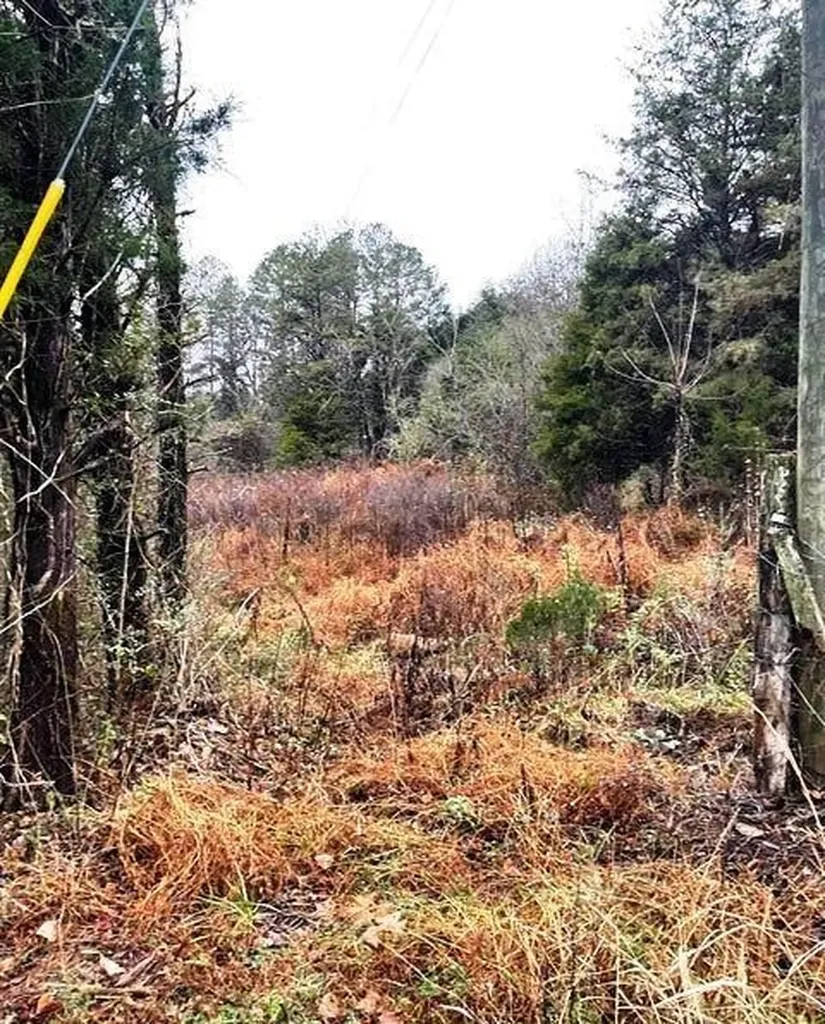 0 Reagan Valley Road Madisonville TN 37354