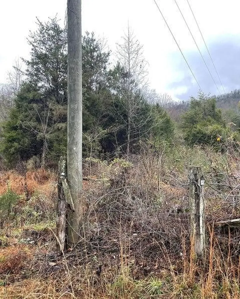 0 Reagan Valley Road Madisonville TN 37354