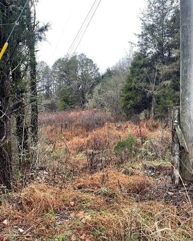0 Reagan Valley Road Madisonville TN 37354