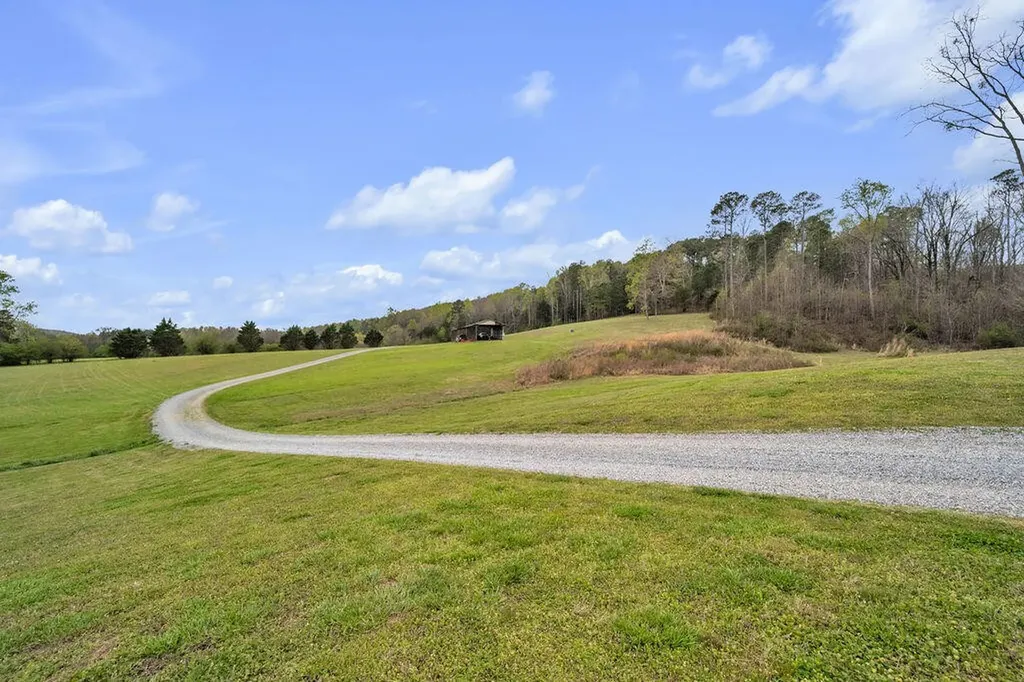 1809 County Road 50 Riceville TN 37370