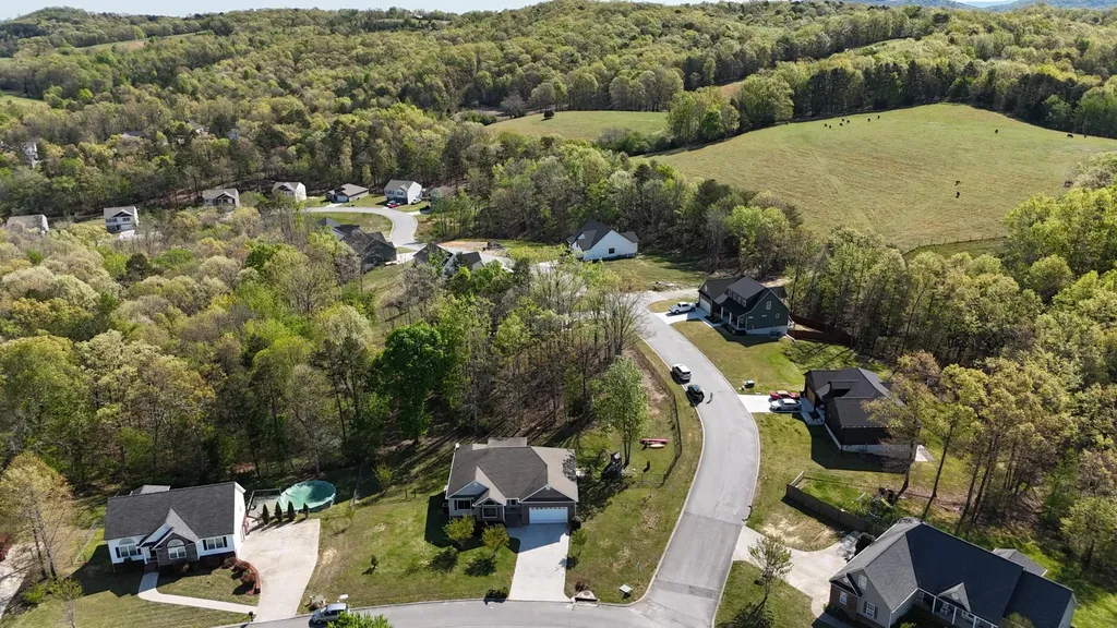 6734 Grazing Lane Birchwood TN 37308