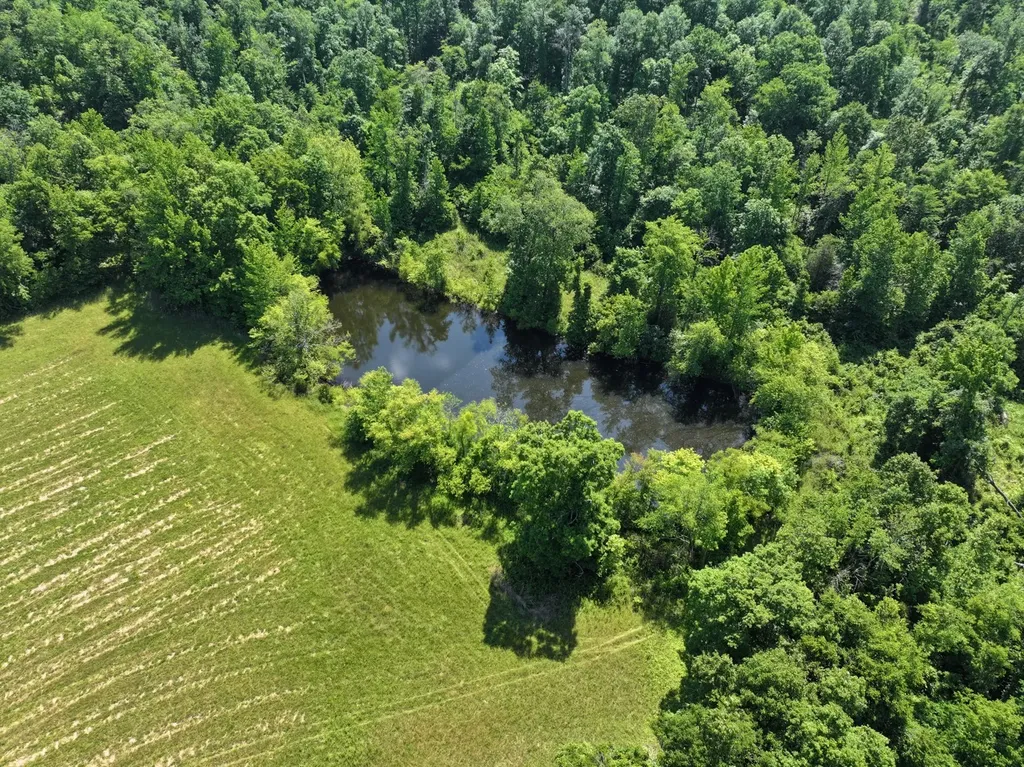 110 Wade Reed Road White Bluff TN 37187