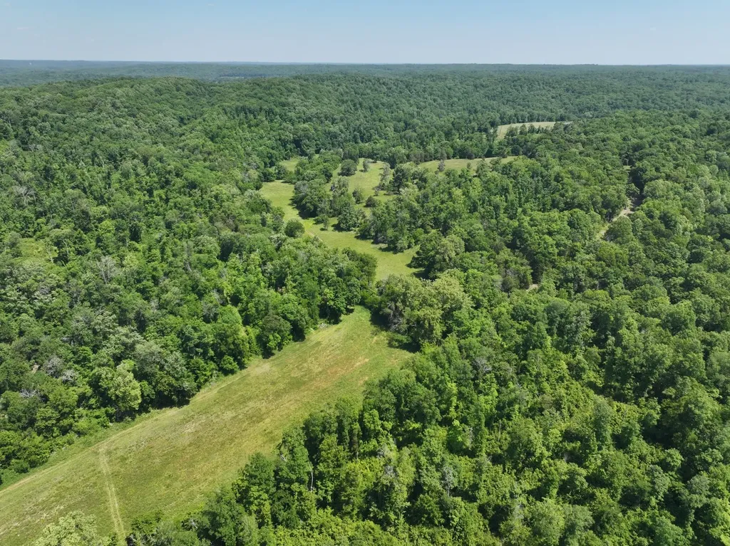 110 Wade Reed Road White Bluff TN 37187
