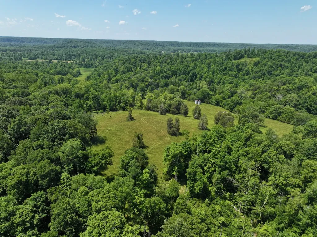 110 Wade Reed Road White Bluff TN 37187
