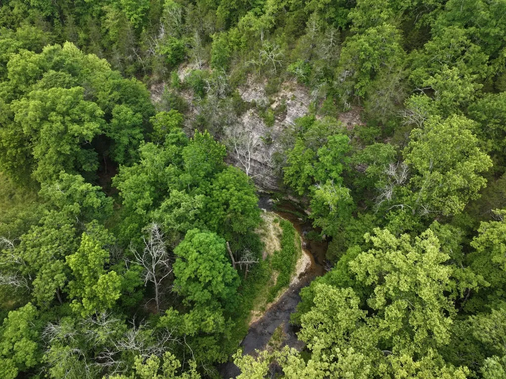 110 Wade Reed Road White Bluff TN 37187
