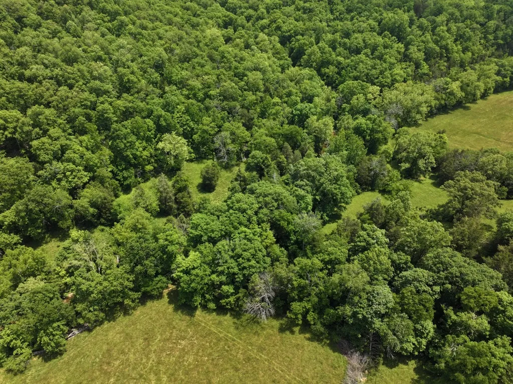 110 Wade Reed Road White Bluff TN 37187