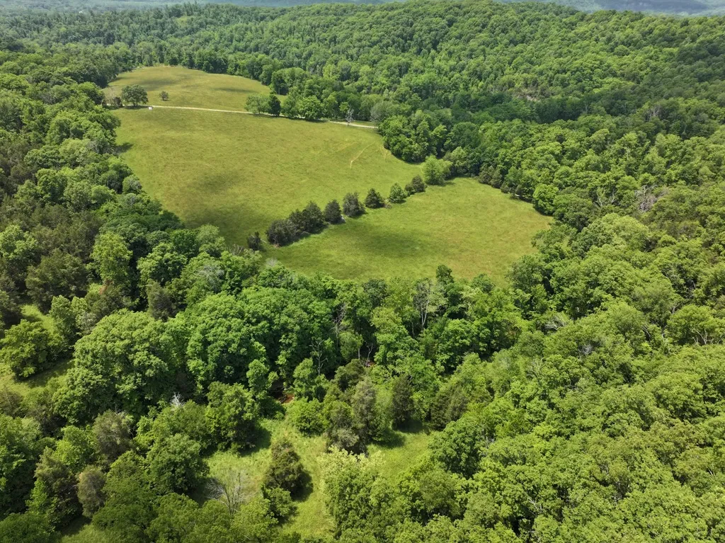 110 Wade Reed Road White Bluff TN 37187