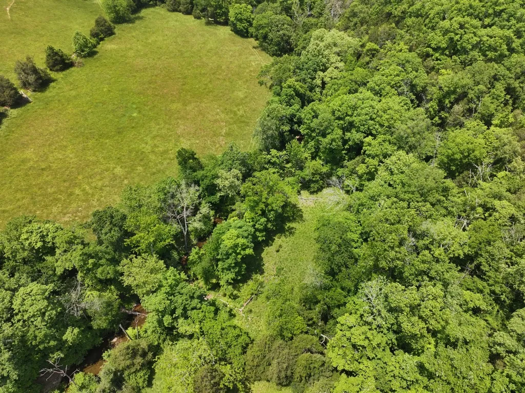 110 Wade Reed Road White Bluff TN 37187