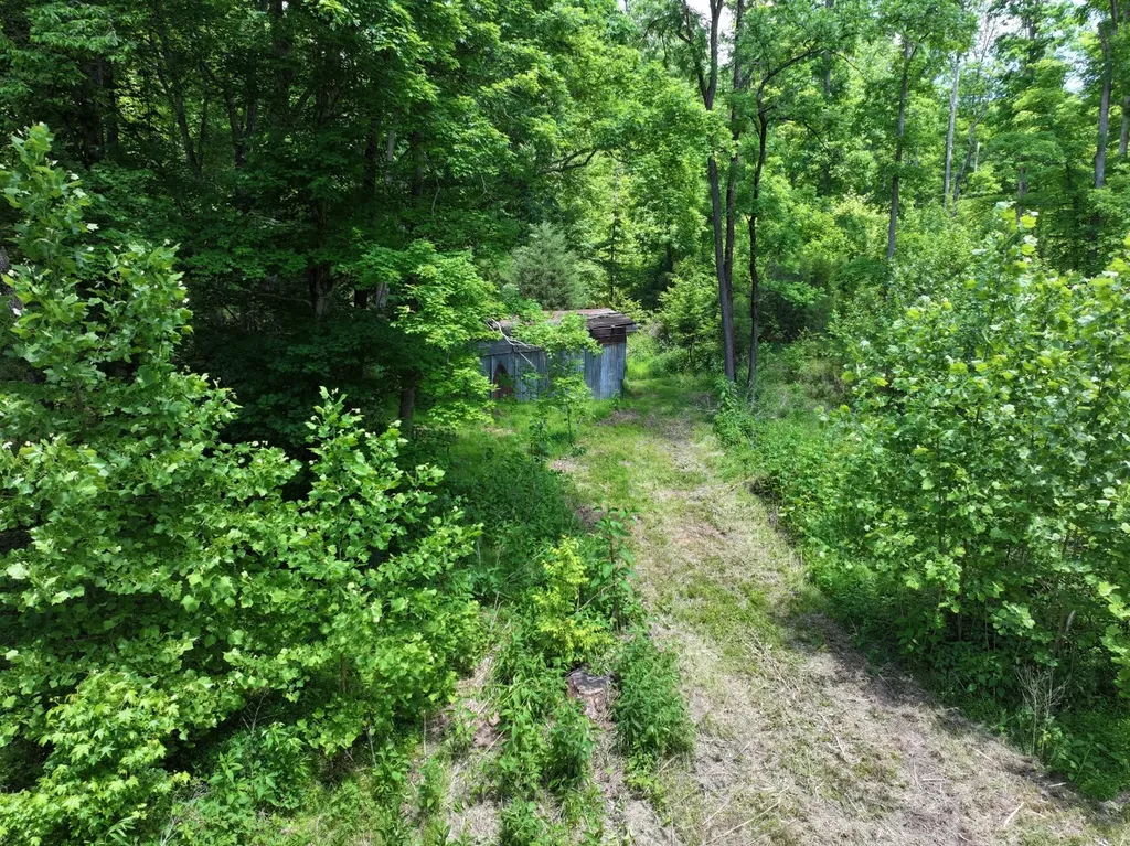 110 Wade Reed Road White Bluff TN 37187