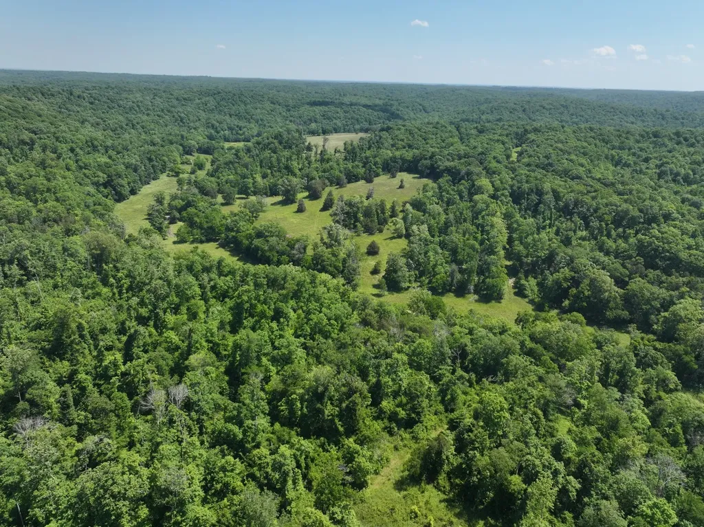 110 Wade Reed Road White Bluff TN 37187