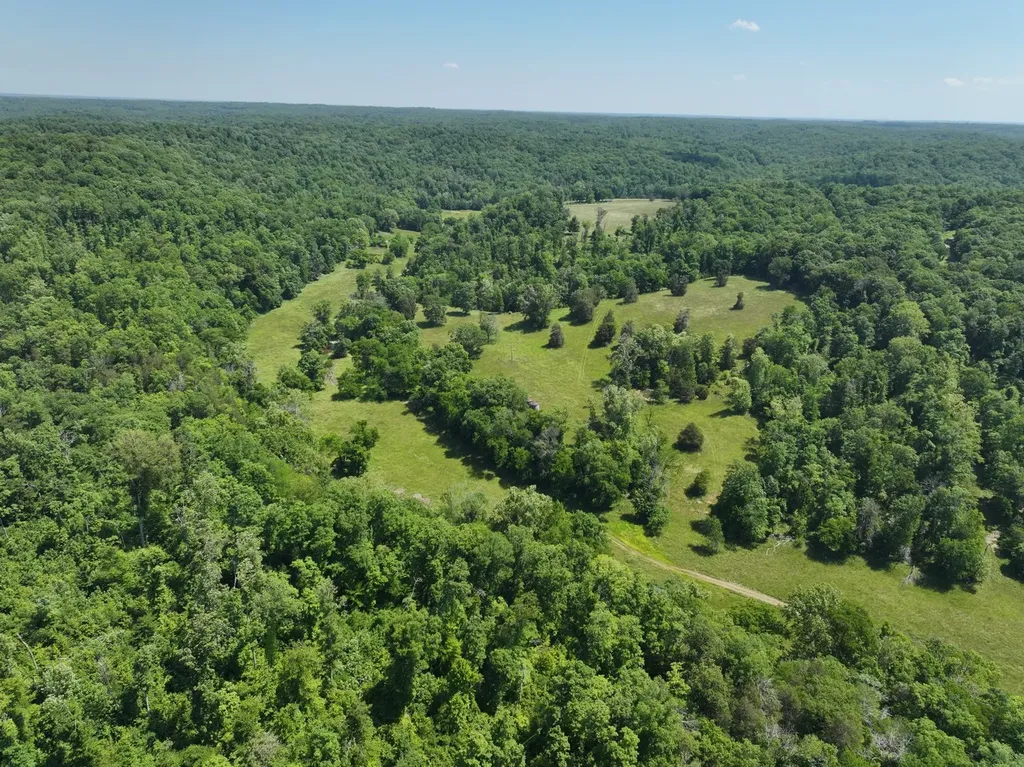110 Wade Reed Road White Bluff TN 37187