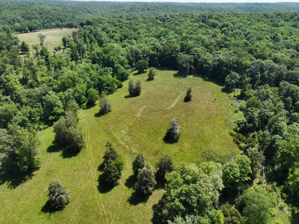 110 Wade Reed Road White Bluff TN 37187
