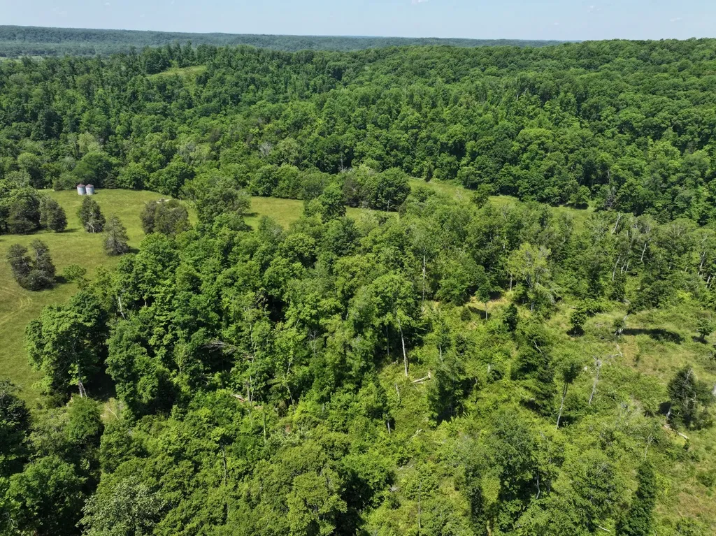 110 Wade Reed Road White Bluff TN 37187