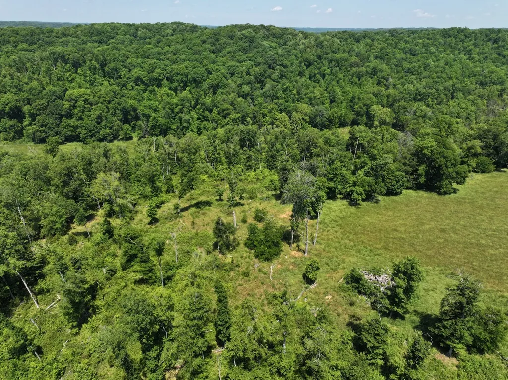 110 Wade Reed Road White Bluff TN 37187