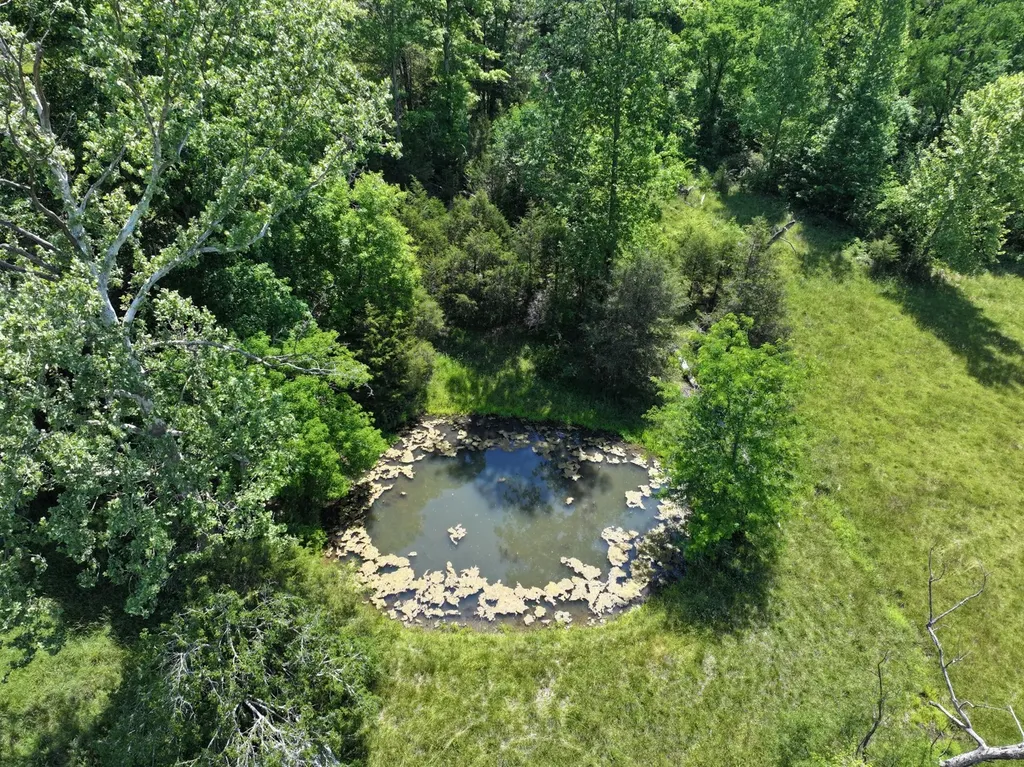 110 Wade Reed Road White Bluff TN 37187