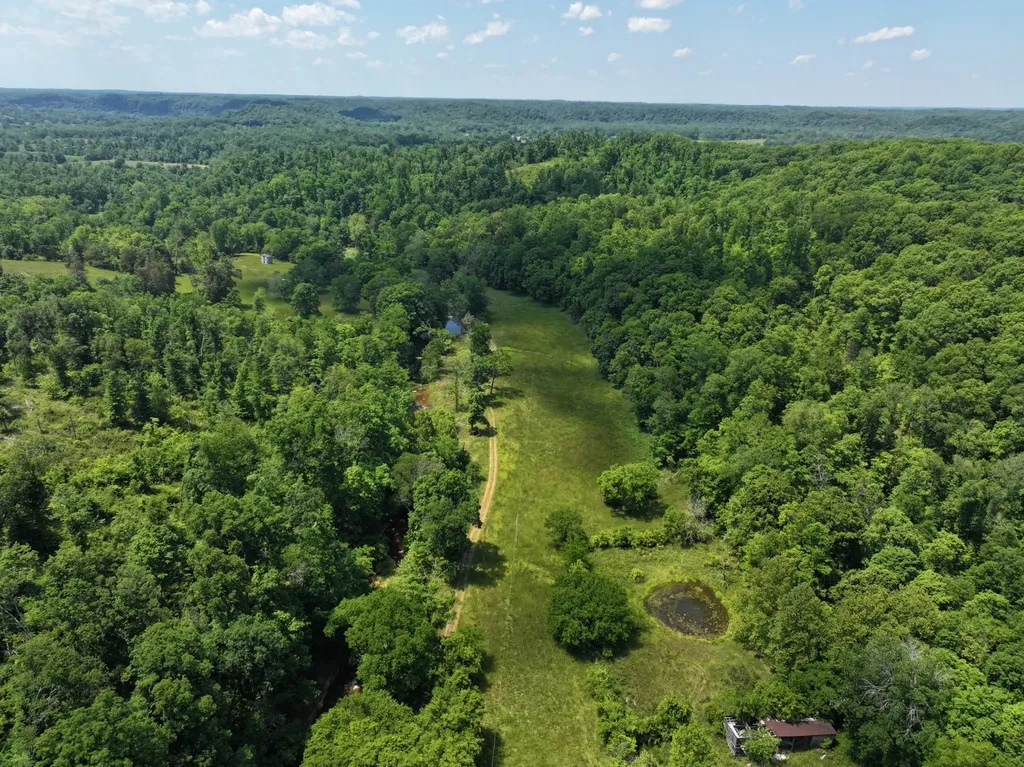 110 Wade Reed Road White Bluff TN 37187