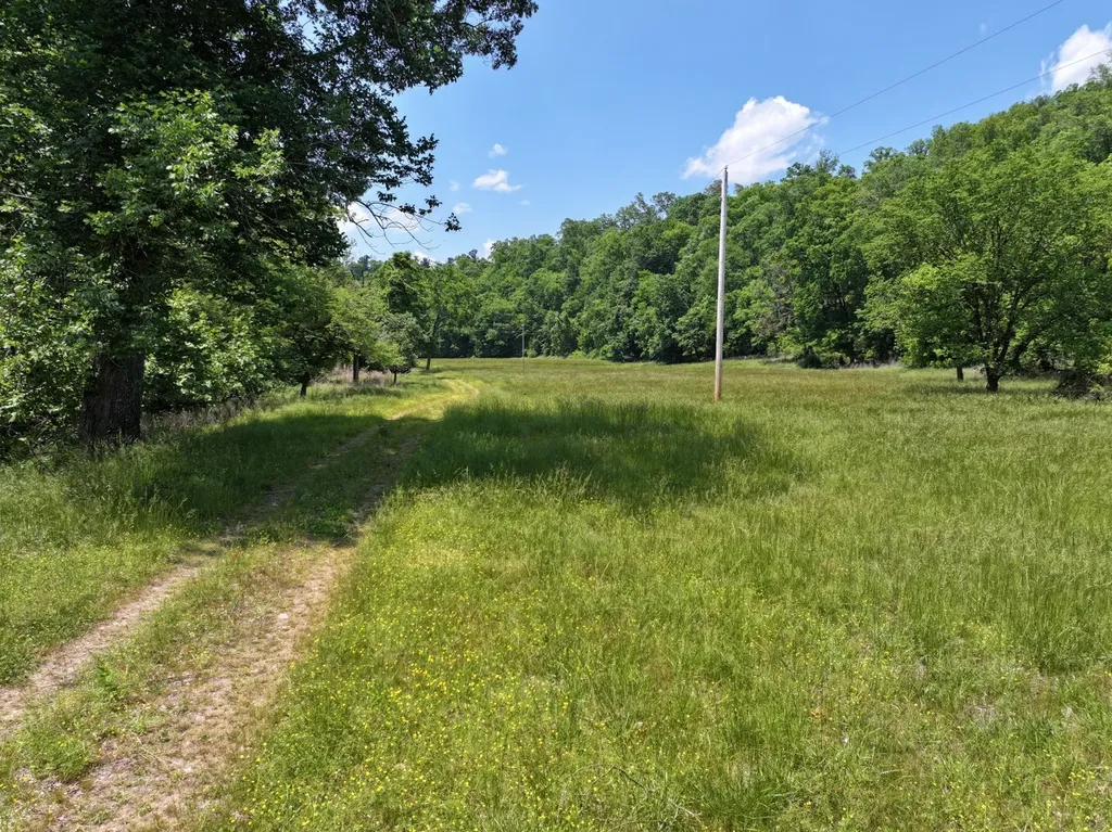 110 Wade Reed Road White Bluff TN 37187