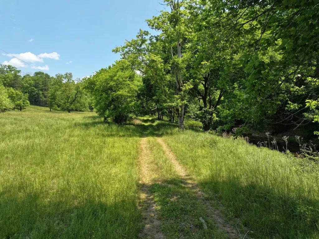 110 Wade Reed Road White Bluff TN 37187