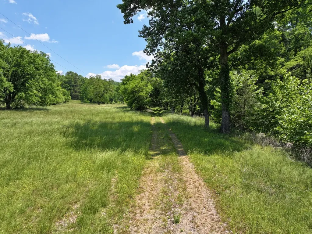 110 Wade Reed Road White Bluff TN 37187