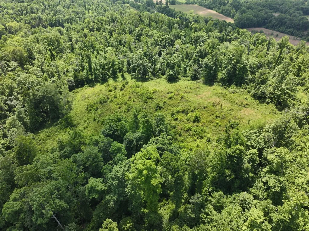 110 Wade Reed Road White Bluff TN 37187