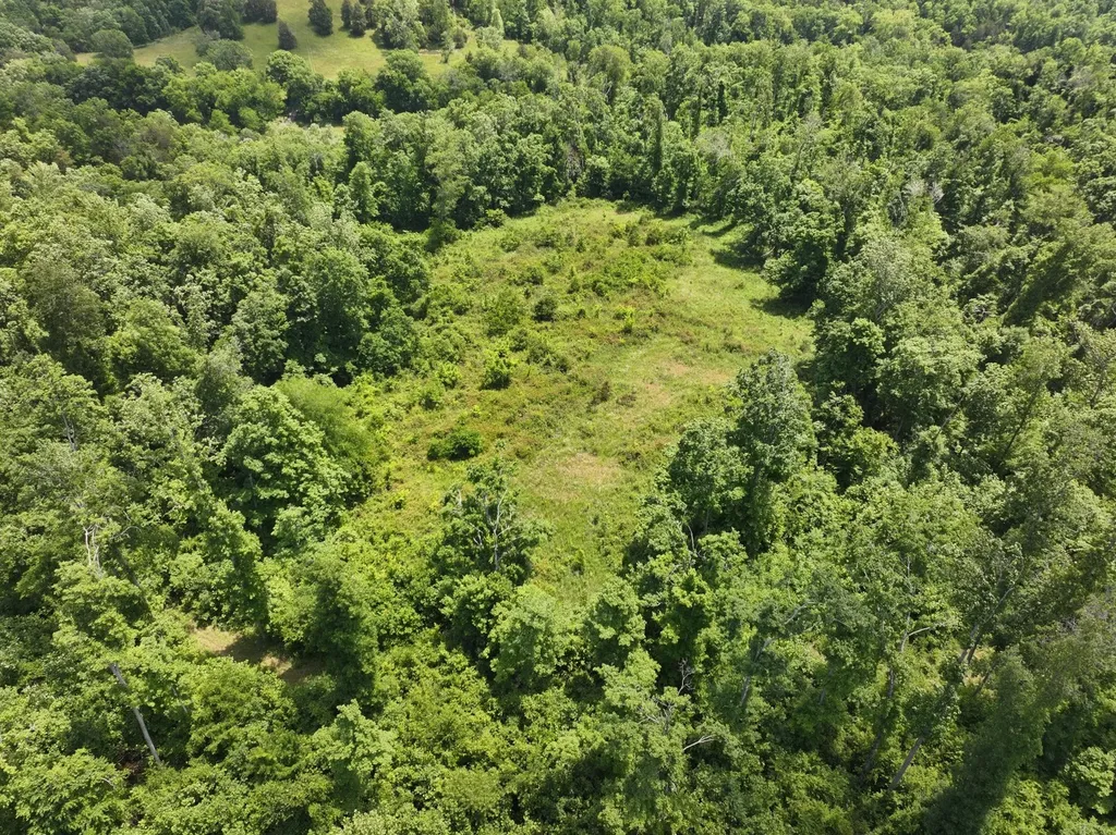 110 Wade Reed Road White Bluff TN 37187