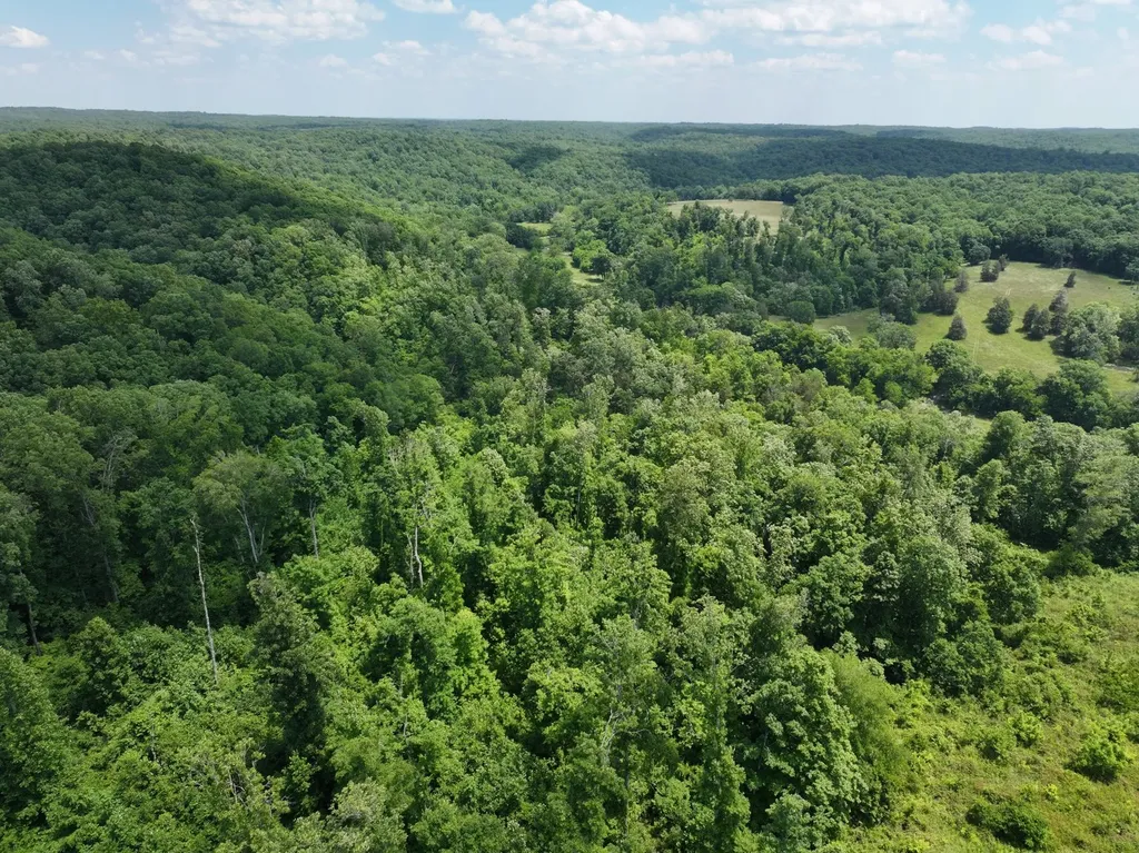 110 Wade Reed Road White Bluff TN 37187