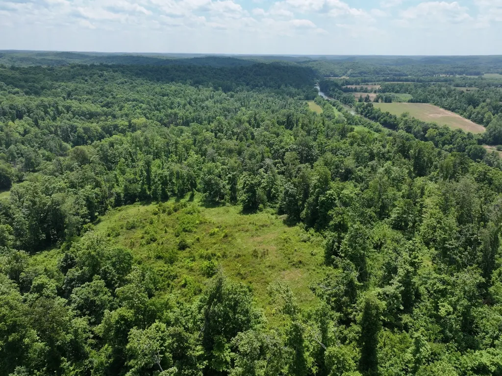 110 Wade Reed Road White Bluff TN 37187