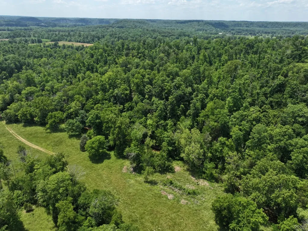 110 Wade Reed Road White Bluff TN 37187