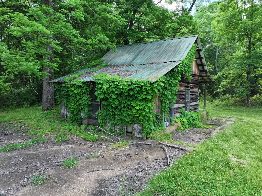110 Wade Reed Road White Bluff TN 37187