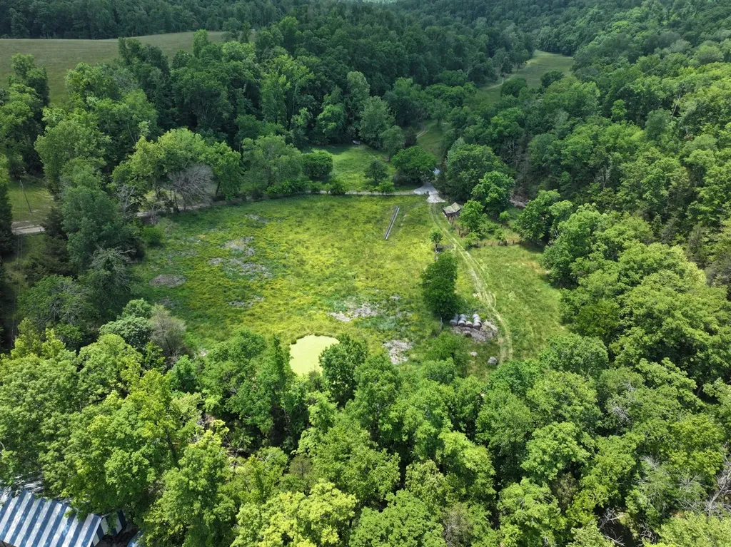 110 Wade Reed Road White Bluff TN 37187
