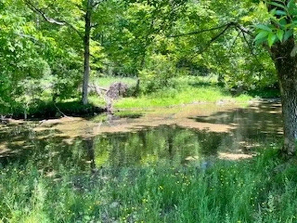 110 Wade Reed Road White Bluff TN 37187