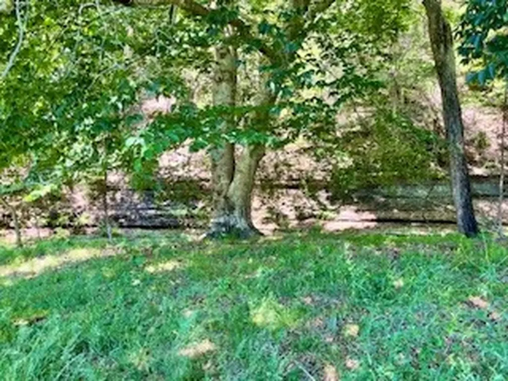 110 Wade Reed Road White Bluff TN 37187
