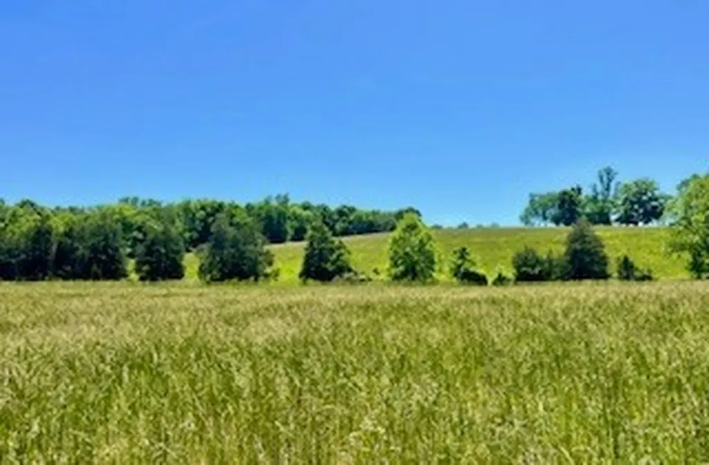 110 Wade Reed Road White Bluff TN 37187
