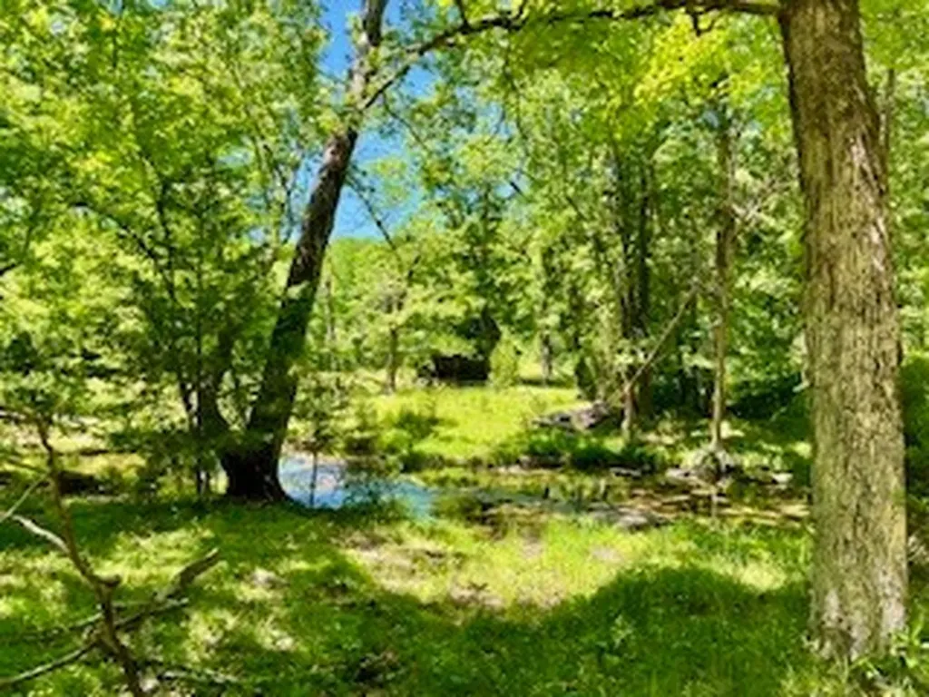 110 Wade Reed Road White Bluff TN 37187