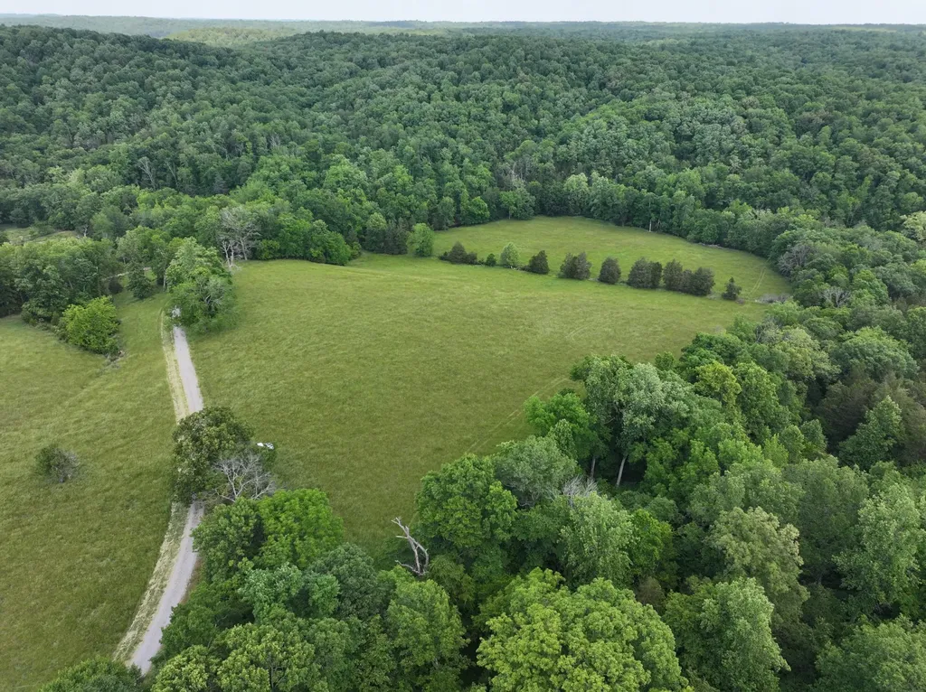 110 Wade Reed Road White Bluff TN 37187