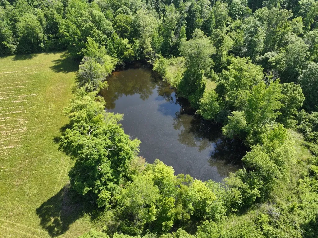 110 Wade Reed Road White Bluff TN 37187